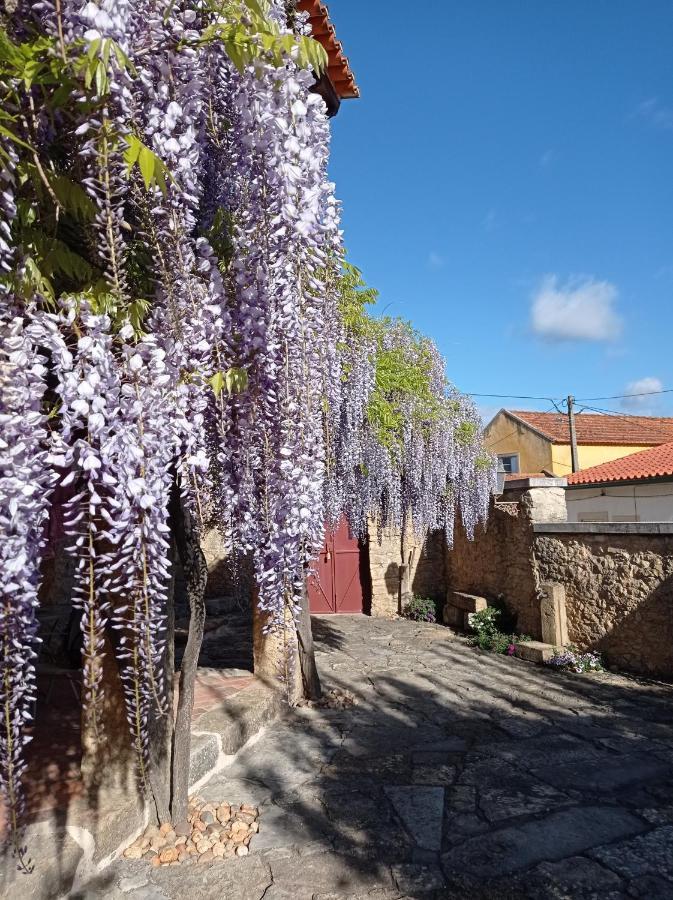 Апартаменти Casarao Do Largo Da Eira Томар Екстер'єр фото